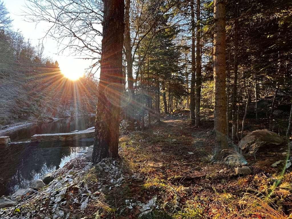 Swissotel Uludag Προύσα Ανέσεις φωτογραφία